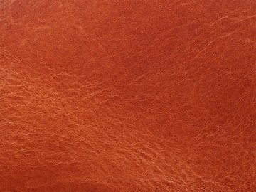 Коньяк Primavera 06